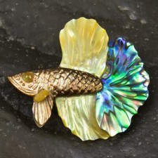 Siamese Fighting Fish Betta