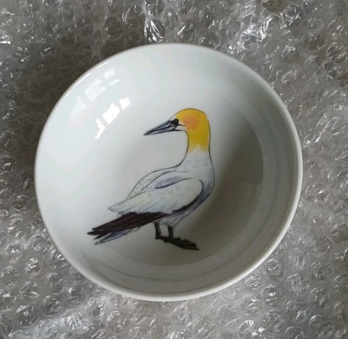 Jersy pottery small white - jersy,