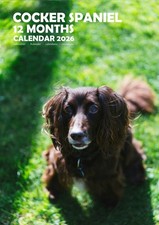 Cocker Spaniel 2026 Calendars (A3)