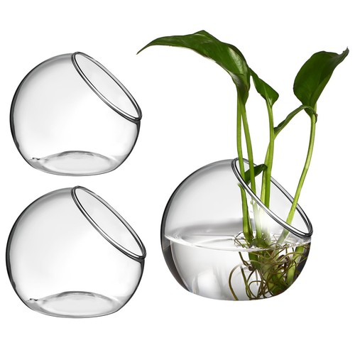 Pcs terrarium plants air - plants,