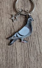 Sweet character Star Pigeon