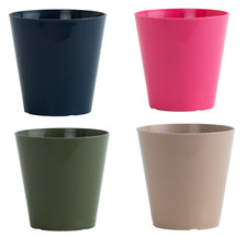 Colourful Plants Pots Indoor