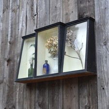 Antique Glazed Shop Ebonised Museum Specimem Display Cabinet