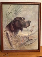 Vintage Gun Dog Print Ruane Manning Framed Lithograph  1987 Donald Art Co 50651