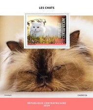 Central African Rep Cats Stamps 2020 MNH Turkish Angora Himalayan Cat 1v S/S