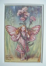 Vintage Flower Fairies Print & Mount Yarrow Fairy Cicely Mary Barker c1930s