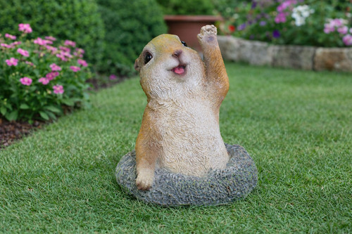 Quirky meerkat decorative - quirky,