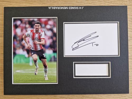 Southampton finn azaz - finn,