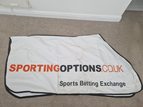 Horse racing - horse,