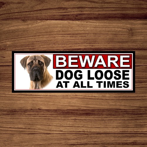 Bullmastiff beware dog - bullmastiff, loose