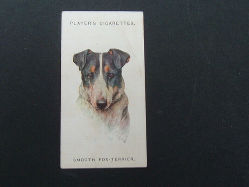 John player dogs - john,