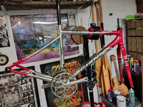Giant tcr aluxx 6000 - 6000, frame