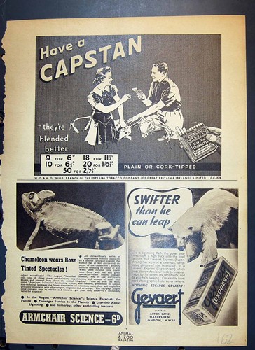 Old print capstan - print,