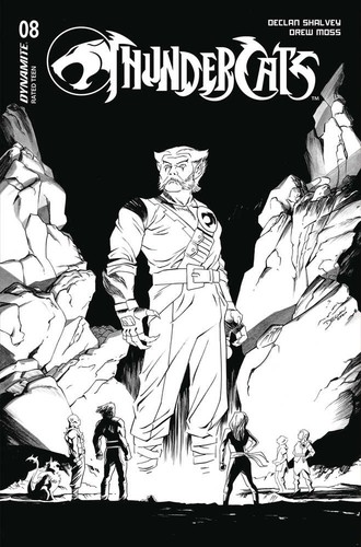 Thundercats cover 1 10 - thundercats, #8
