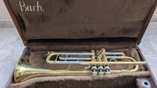 Trumpet / Trumpet Vincent Bach