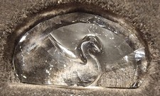 Swarovski 2015 SCS Membership