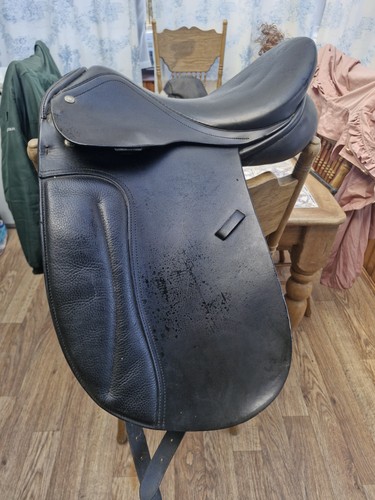 Collegiate saddle 5 - collegiate,