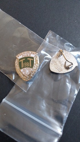 Isle man badge 1981 - of,