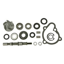Vicma Water Pump Repair Kit