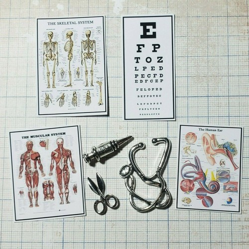Doctors set medical - set,