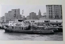 Vintage Photograph - NELSON
