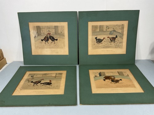 Vintage cockfighting r - vintage,