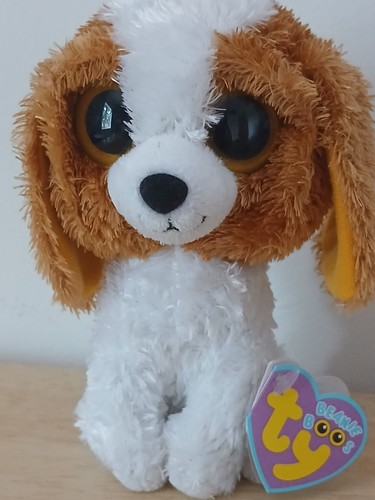 Beanie boo cookie solid - boo, (solid