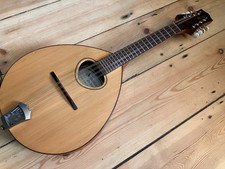 Beautiful Acoustica Elite