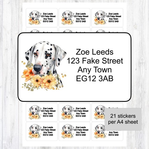 Spotty dalmatian dog - spotty, dog/puppy