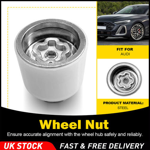 For audi security master - for,