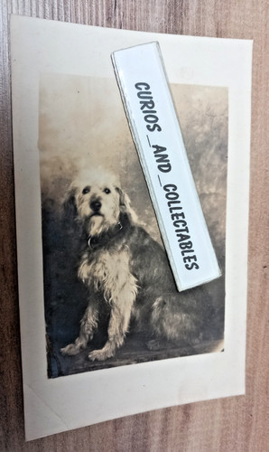 Otterhound dog vintage - black, &