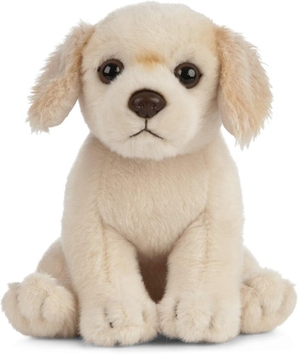 Plush golden retriever puppy - golden,