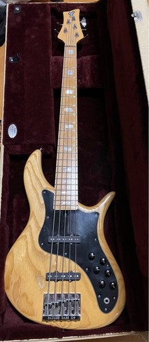 Bass vf5 string electric - vf5,