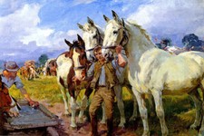 WATERING HORSES WORKING