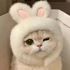 Bunny Ears Cat Hat Knit Pet