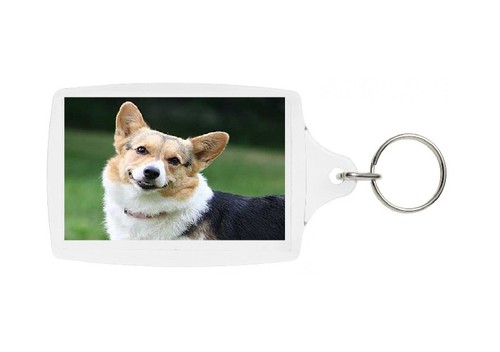 Cardigan welsh corgi keyring - cardigan,