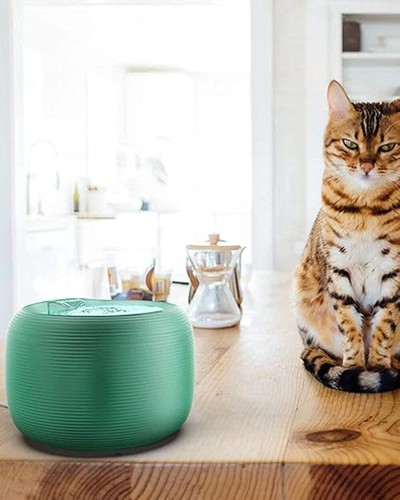 Pet drinking water fountain - pet,