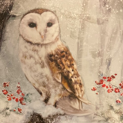 Hallmark charity christmas - charity,