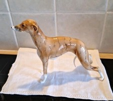 Vintage Whippet Greyhound