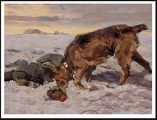 AIREDALE TERRIER RED CROSS WAR