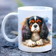 Cavalier King Charles Spaniel