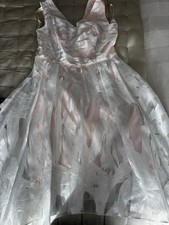 Coast ladies dress size 14 pink underwear with silver metallic overlay