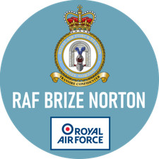 RAF PIN BADGE Choose your