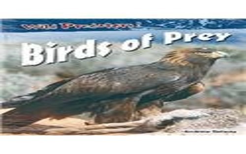 Birds prey wild - prey, (wild