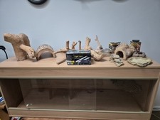 137X49X56CM Approx Reptile