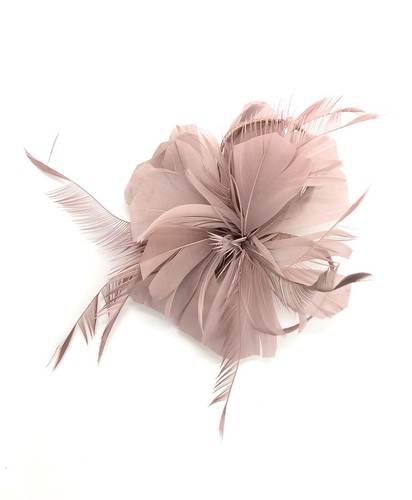 Dusky pink feather - dusky,