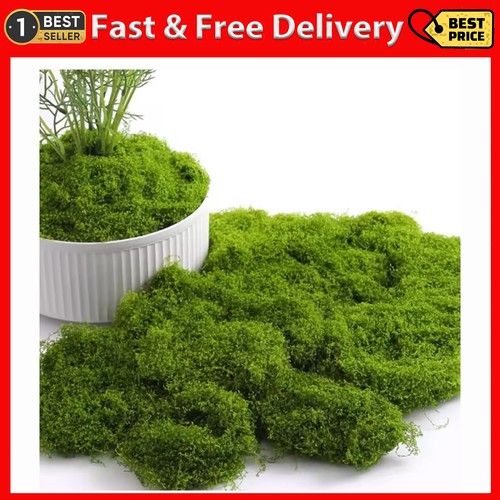 100g artificial moss fake - artificial,