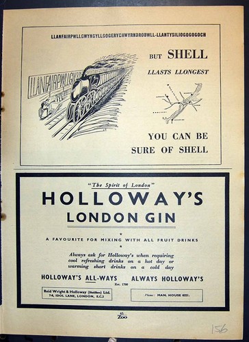 Antique old print shell - old,