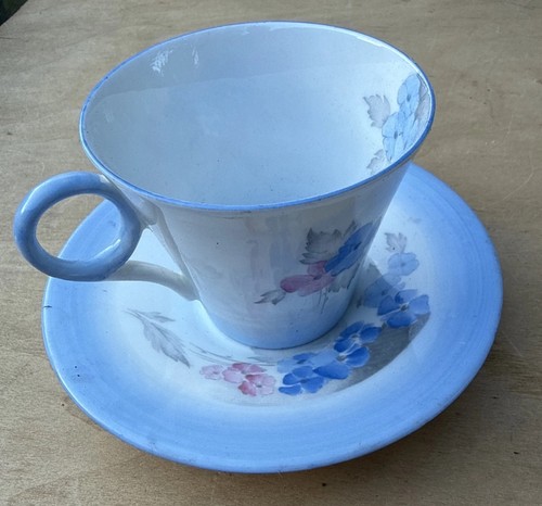 Pottery shelley blue phlox - shelley,