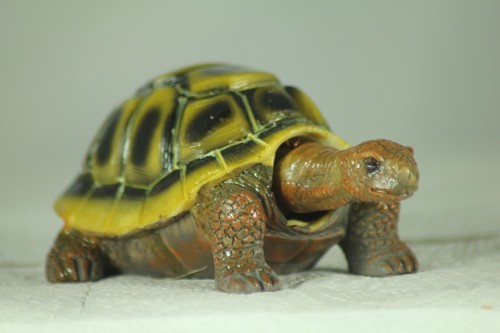 12cm nodding tortoise - 12cm, iconic